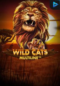 Bocoran RTP Wild Cat Multiline di ZOOM555 | GENERATOR RTP SLOT