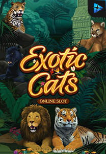 exoticcats